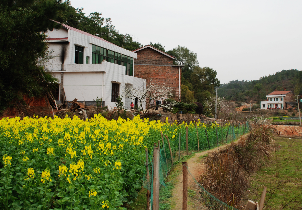 戶口“由城轉鄉”放開,達到條件的就可遷戶回村 (2).png 戶口“由城轉鄉”放開,達到條件的就可遷戶回村 (2).png