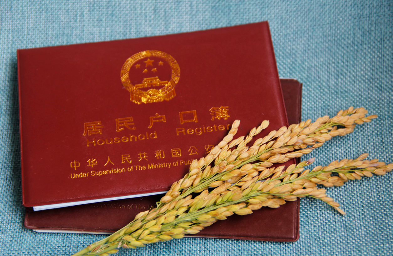 戶口“由城轉鄉”放開,達到條件的就可遷戶回村 (4).png 戶口“由城轉鄉”放開,達到條件的就可遷戶回村 (4).png
