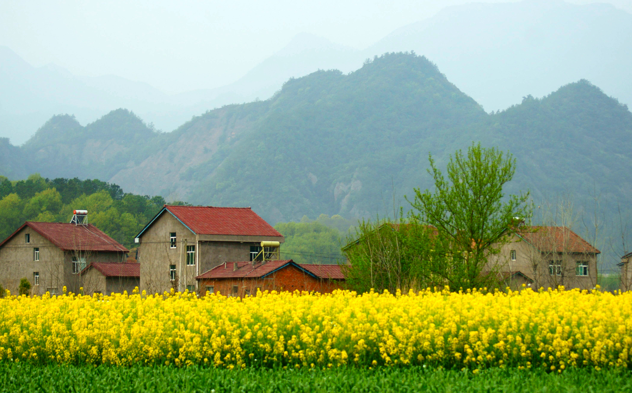 怎么辦理戶口遷出手續(xù) (2).png 怎么辦理戶口遷出手續(xù) (2).png